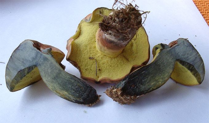 [image]