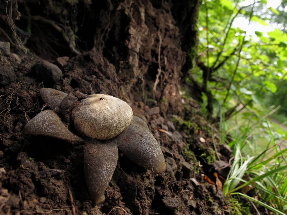 [image]