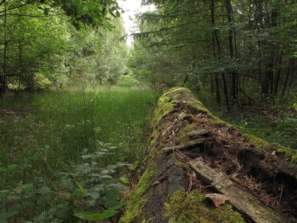[image]