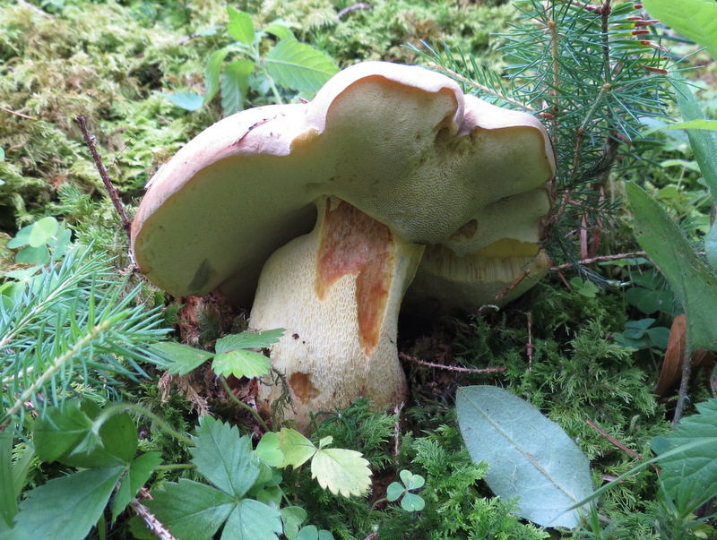 [image]