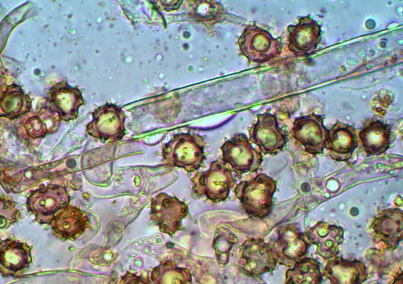 [image]