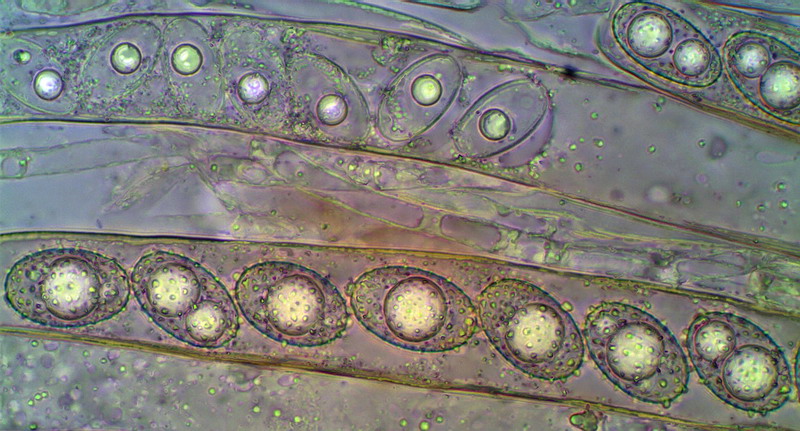 [image]