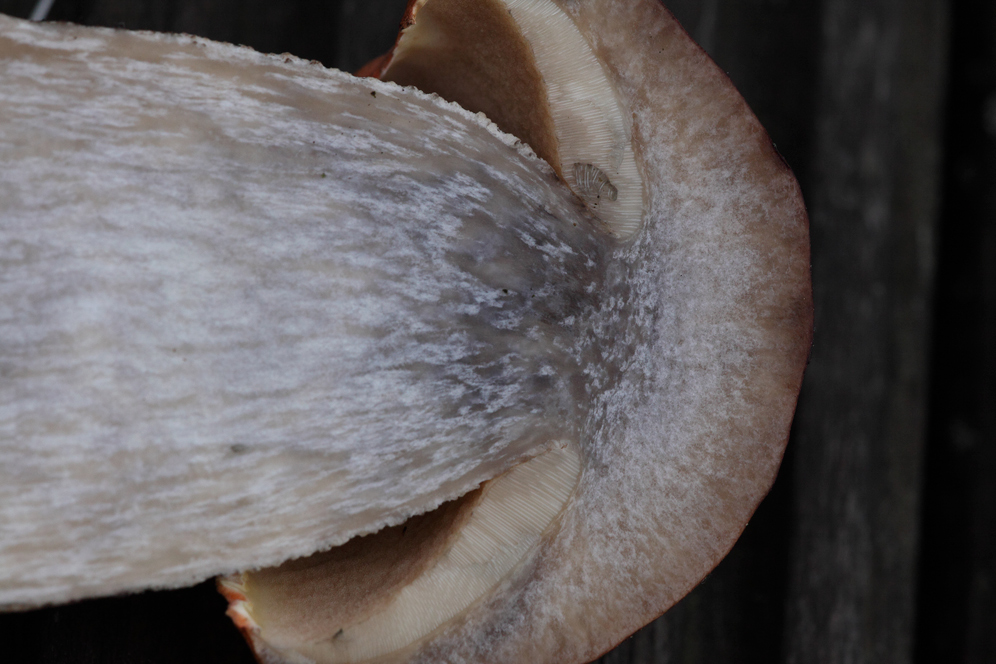 [image]