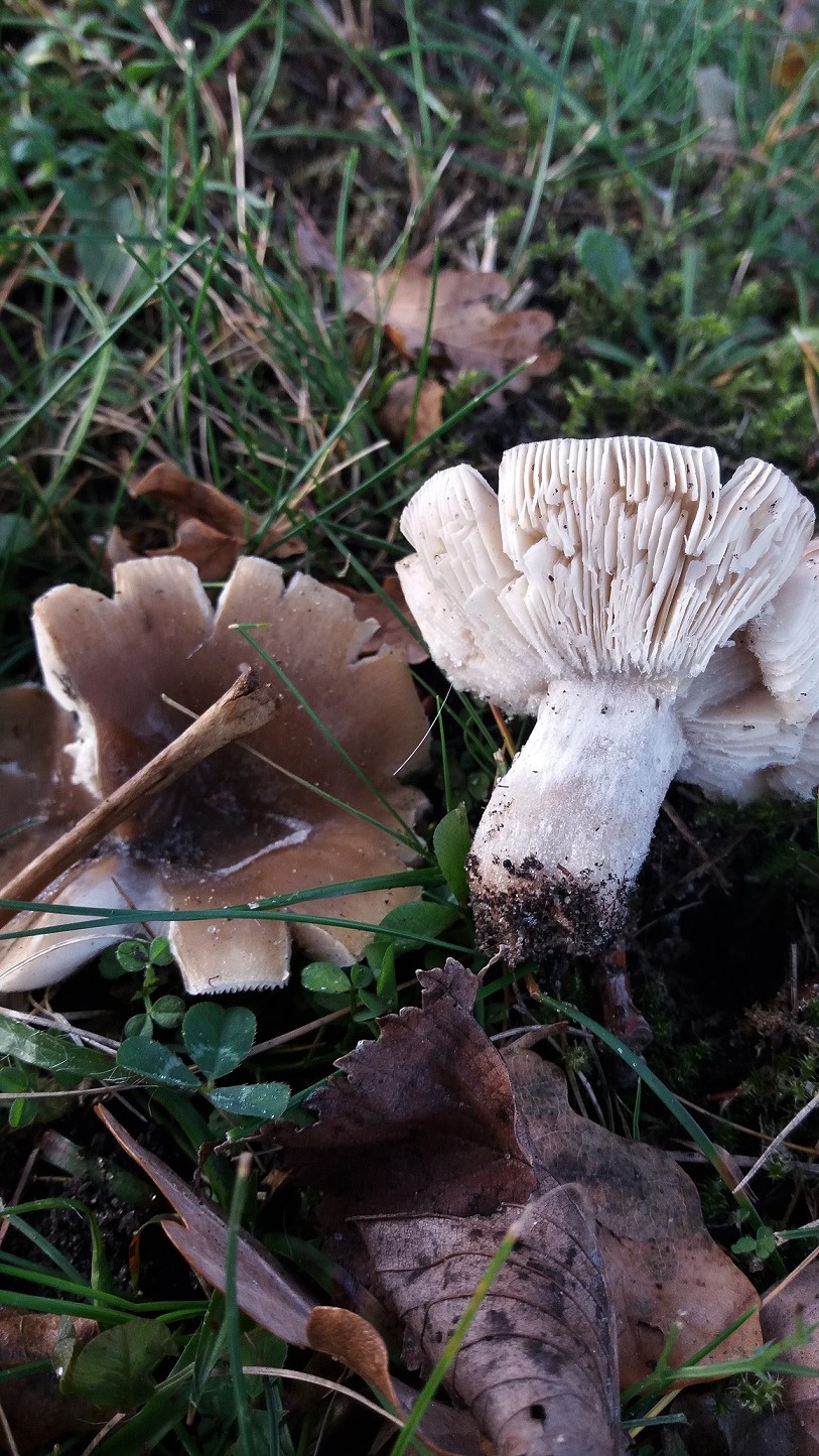 [image]